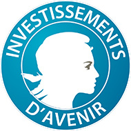 Investissements d'avenir